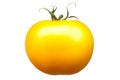Single yellow tomato isolated on white background Royalty Free Stock Photo