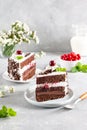 A delicious slice of Black Forrest Cake. On a plate and ready to eat