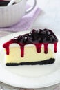 Delicious slice of blueberry cheesecake