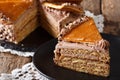 Delicious slice of Hungarian Dobosh cake with caramel close-up.