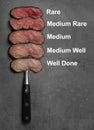 Delicious sliced beef tenderloins with degrees of doneness on grey background, top view Royalty Free Stock Photo