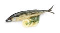 Delicious smoked mackerel, lemon slices and rosemary on white background, top view Royalty Free Stock Photo