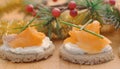 Delicious smoked salmon canape with soft cheese Royalty Free Stock Photo