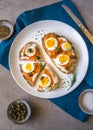 Delicious smoked salmon sourdough toast with goat cream cheese and cut boiled egg, garnished with dill, chives & pickled Capers Royalty Free Stock Photo