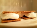 Delicious smore with giant roasting marshmallow and chocolate chips