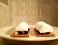 Delicious smore with giant roasting marshmallow and chocolate chips