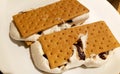 Delicious smore with giant roasting marshmallow and chocolate chips