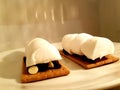 Delicious smore with giant roasting marshmallow and chocolate chips