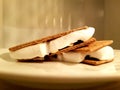 Delicious smore with giant roasting marshmallow and chocolate chips