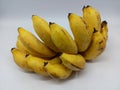 A Delicious Snapshot: Banana Bonanza and the Fascinating World of Fruit