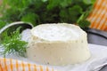 Delicious soft cheese with greens Royalty Free Stock Photo