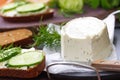 Delicious soft cheese with greens Royalty Free Stock Photo