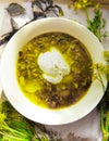 Delicious soup or green borch Royalty Free Stock Photo