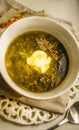 Delicious soup or green borch Royalty Free Stock Photo