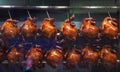Delicious Soya Sauce Grilled Chickens hung on display in food box at market stall. Traditional Asian Chinese Street Food, Cuisine