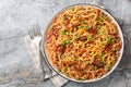 Delicious spaghetti with bacon, minced meat, cheddar cheese, onion and spicy tomato sauce close-up in a plate on the table. Royalty Free Stock Photo