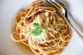 Delicious spaghetti with meat on white plate