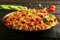 Delicious spicy chicken fried rice. Royalty Free Stock Photo