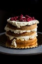 Delicious sponge cake with icing cream and raspberries Royalty Free Stock Photo