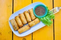 delicious spring rolls on a yellow table - happy meal Royalty Free Stock Photo