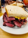 Delicious stacked pastrami sandwich on toasted rye, served on a white plate Royalty Free Stock Photo
