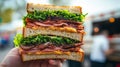 Delicious stacked sandwich with layers of meat, lettuce, and cheese Royalty Free Stock Photo