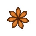 Delicious star anise icon