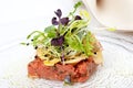 Delicious starter, veal tenderloin fillet tartar and garden salad Royalty Free Stock Photo