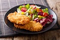 Delicious steak in breadcrumbs Panko and fresh vegetable salad c