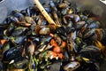 Delicious steamed fresh mussels