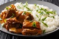 Delicious stewed ribs in a spicy sauce served with white rice close-up on a plate. horizontal Royalty Free Stock Photo