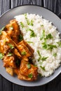 Delicious stewed ribs in a spicy sauce served with white rice close-up on a plate. Vertical top view Royalty Free Stock Photo