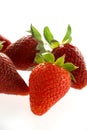 Delicious strawberries Royalty Free Stock Photo