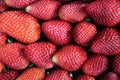 delicious strawberries fresh fruits natural seeds dessert red