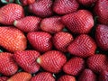 delicious strawberries fresh fruits natural seeds dessert red