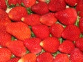 delicious strawberries fresh fruits natural seeds dessert red