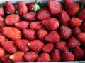 delicious strawberries fresh fruits natural seeds dessert red