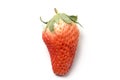 Fresh strawberries are on the white background