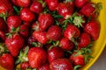 delicious strawberries in a yellow bowl on the table Royalty Free Stock Photo