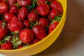 delicious strawberries in a yellow bowl on the table Royalty Free Stock Photo