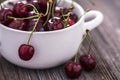 Delicious strawberry and cherries dessert Royalty Free Stock Photo