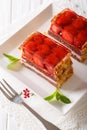Delicious strawberry chocolate cake with jelly closeup on a plat Royalty Free Stock Photo