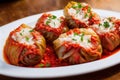 Delicious stuffed cabbage rolls on plate drizzled with tomato sauce and sprinkled with greens