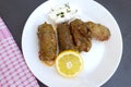 Delicious stuffed vine leaves with rice and meat Royalty Free Stock Photo