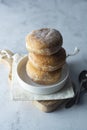 Delicious sugar donuts on a white plate, rustic style