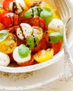 Delicious summer salad of yellow and red cherry tomatoes, mozzarella with Basil Royalty Free Stock Photo