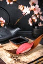 Delicious Sushi Maguro Tuna .Nigiri with Tuna. Dish decorated with a sprig of cherry blossoms. Royalty Free Stock Photo