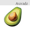 Delicious and Sweet Avocado Fruit Illustration Royalty Free Stock Photo