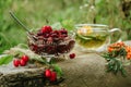 Delicious sweet dogwood jam, fresh berries and herbal tea on gray wooden table