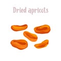 Delicious sweet dried apricots . Healthy nutrition product. Royalty Free Stock Photo